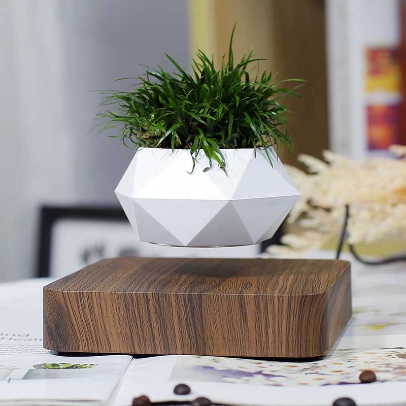 "Magnetic Levitation Flower Pot with Floating, Gravity-Defying Design"